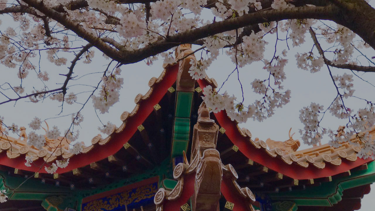 pengzu park xuzhou